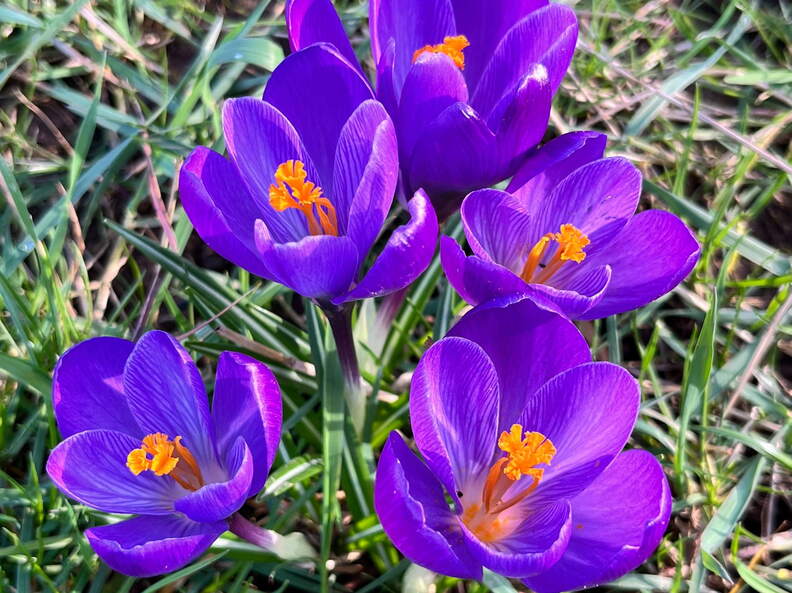 24-02-26 15-21-20 8719